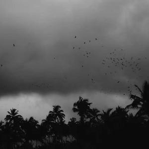 扬州毛巾厂家用小鹅营销导航
